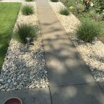 20180725_095433369_iOS